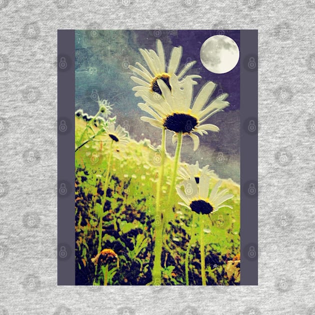 As Daisies Greet The Evening Sky by Mzzart